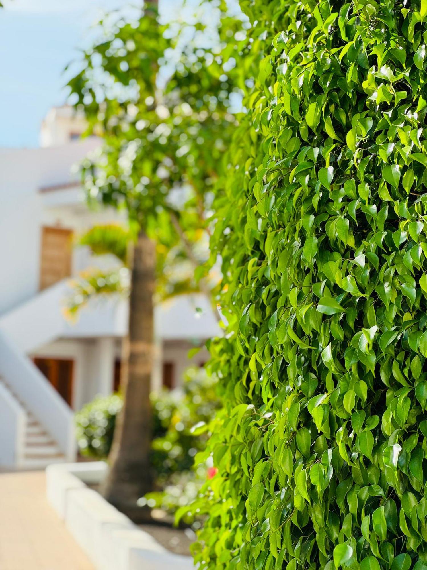 Garden City Private Apartment Costa Adeje Playa Fanabe Exterior foto