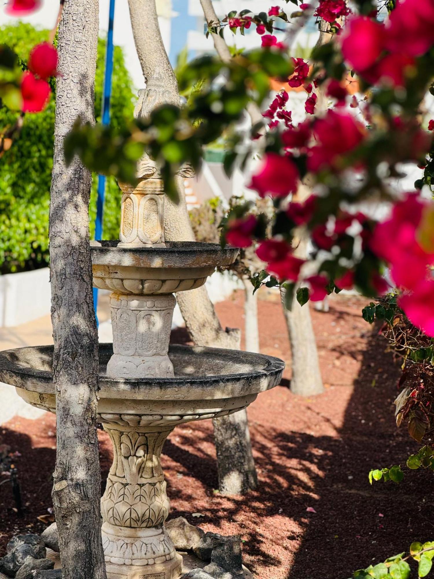 Garden City Private Apartment Costa Adeje Playa Fanabe Exterior foto
